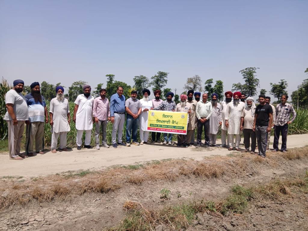 Need for balanced use of fertilizers in sugarcane crop  Cane Commissioner
